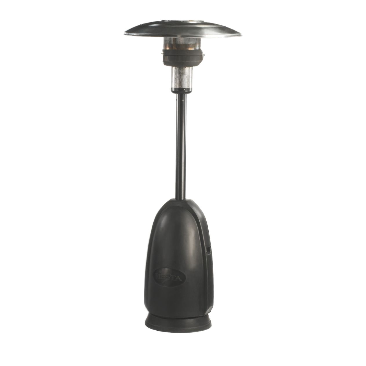 Camarera.Tecni_.Micro_.Antorcha-2