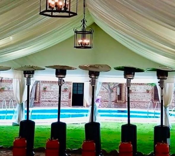 WhatsApp Image 2025-01-28 at 01.08.04 (1)