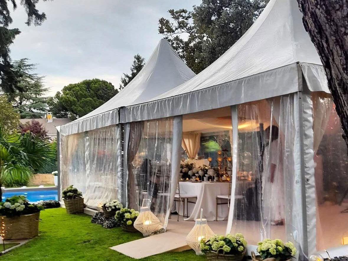 WhatsApp Image 2025-01-28 at 01.08.04